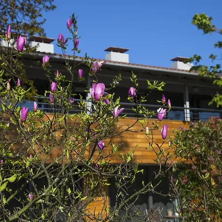 Apartamento Casona De La Paca Cudillero
